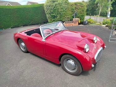 Picture of 1960 Austin Healey Frogeye Sprite - For Sale