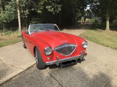 Picture of 1954 Austin Healey BN1 - For Sale