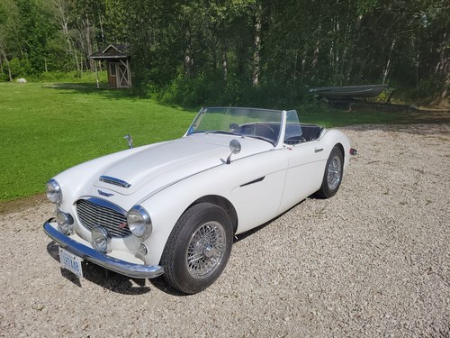 1960 Austin Healey 3000 Mk1