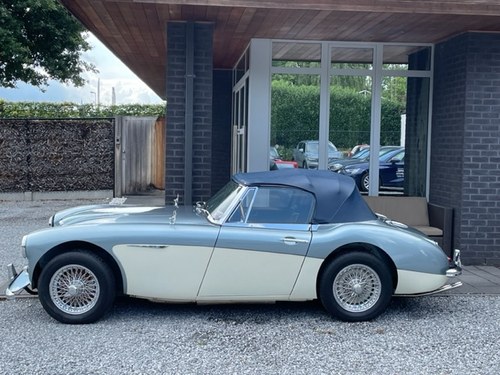 AUSTIN HEALEY 3000MK II BJ7 1964, ROADSTER ' PROJECT ! For Sale