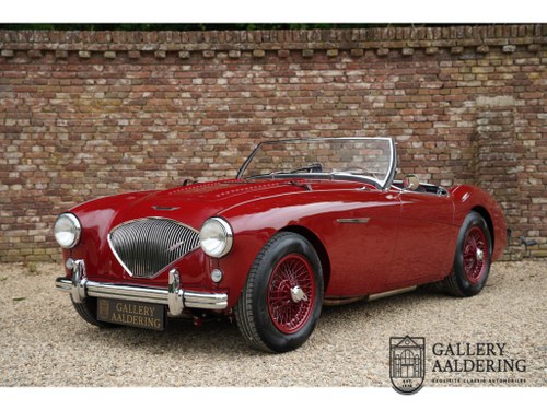 1955 Austin-Healey 100/M Factory 100/M, Matching numbers, Matchin For Sale