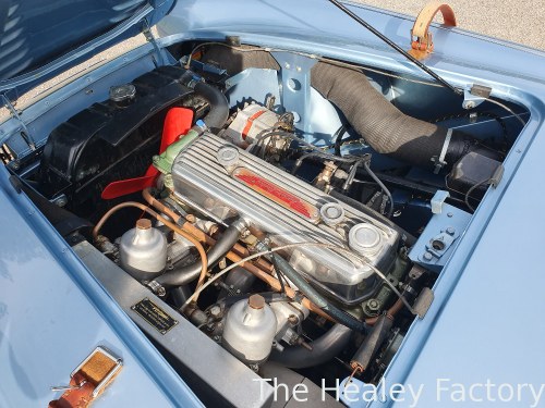 1956 Austin Healey 100 - 5
