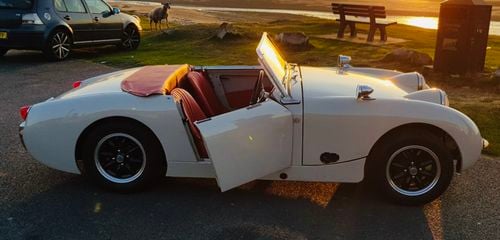 Picture of 1959 Austin Healey Frogeye Sprite - For Sale