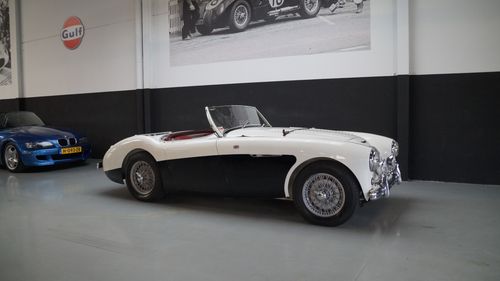 Picture of AUSTIN HEALEY 100/4 Le Mans Mille Miglia Eligible (1955) - For Sale
