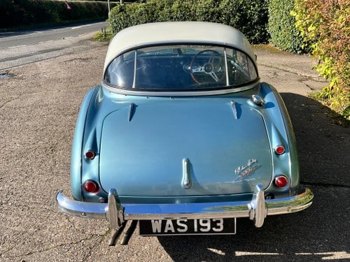 1961 Austin Healey 3000 - 5