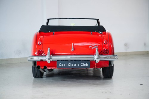 1964 Austin Healey 3000 - 6