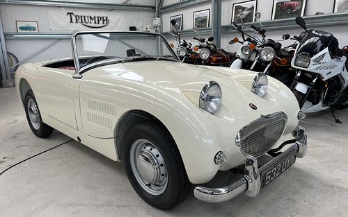 1959 Austin Healey Sprite Frogeye (picture 1 of 27)