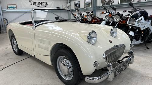 Picture of 1959 Austin Healey Sprite Frogeye - For Sale