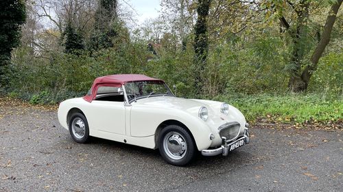 Picture of 1959 Austin Healey Sprite Frogeye Top Quality. YCC. - For Sale