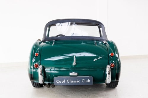 1958 Austin Healey 100-6 - 8