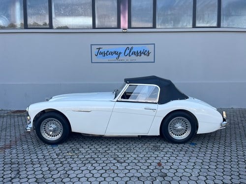 1957 Austin Healey BN4 100/6 2700 Te koop