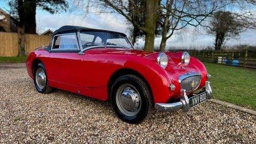 Picture of 1960 Austin Healey Sprite - For Sale
