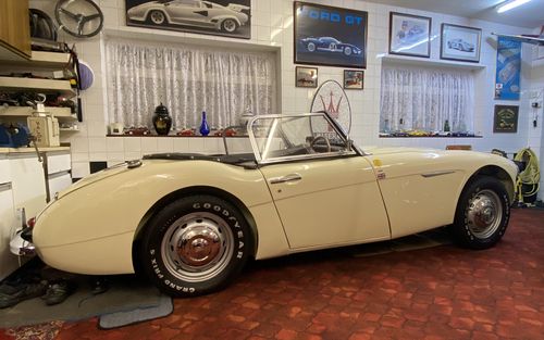 Austin Healey 100-6 BN4 (picture 1 of 15)