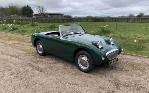1960 Austin Healey Sprite (picture 1 of 50)