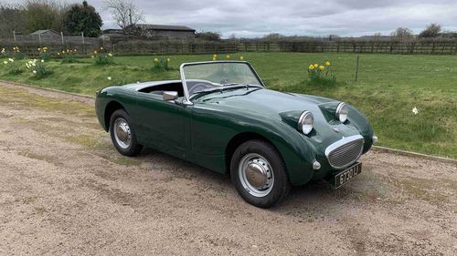 Picture of 1960 Austin Healey Sprite - For Sale
