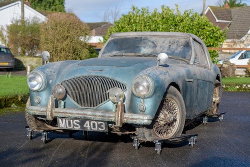 1954 AUSTIN HEALEY 100/4 BN1 - FOR AUCTION 13TH APRIL 2024 Till salu på auktion