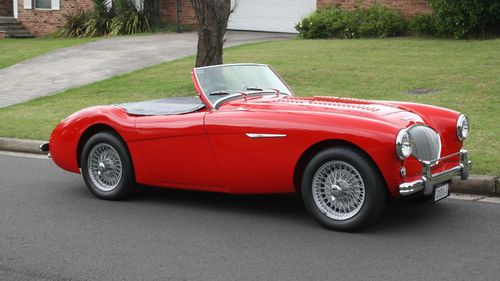 Picture of 1955 Austin Healey 100 BN1 - For Sale
