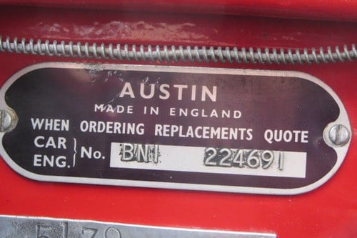 1955 Austin Healey 100 - 3