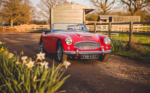 1964 Austin Healey 3000 MK3 BJ8 Phase One | RESTORED (picture 1 of 40)