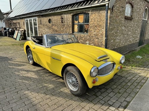 1965 Austin Healey 3000 bj8 (project) Kaufen Bei