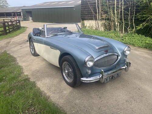 1964 AUSTIN HEALEY 3000 MK 3 CHOICE OF 2 FULLY RESTORED EXAMPLES! For Sale