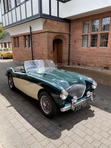 1954 Austin Healey 100/4 BN1