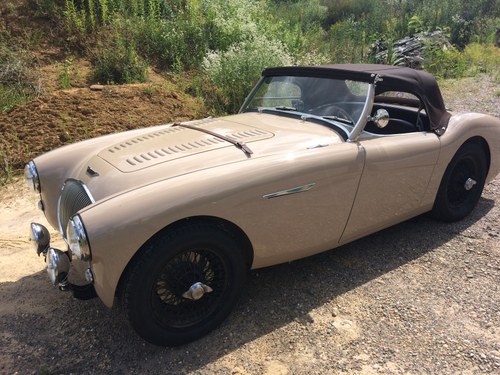 1955 Austin-Healey 100/4 BN1