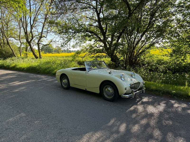 Rapid Classics: Eine Suche. Alle Oldtimer. 18 » Rapid Classics: Eine Suche. Alle Oldtimer. 1960 Austin Healey Frogeye Sprite