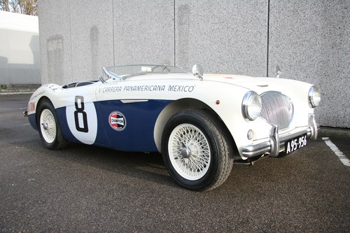 1956 Austin-Healey 100/4 BN2 Convertible 1000 Miglia Kaufen Bei