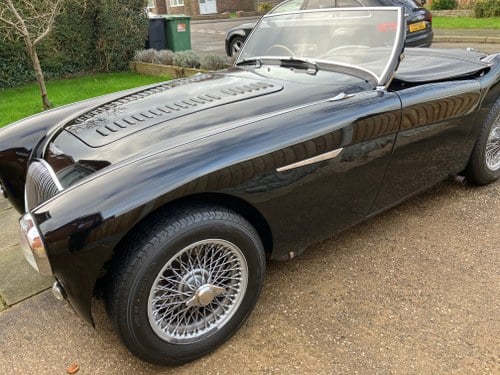 1955 Austin-Healey 100/4 BN1