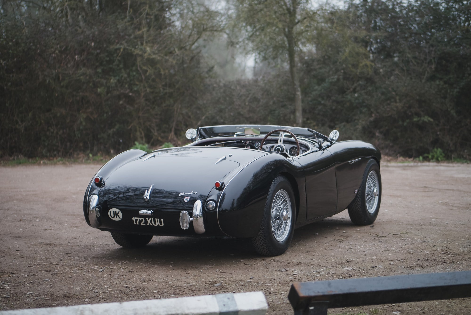 1955 Austin-Healey, foto 8
