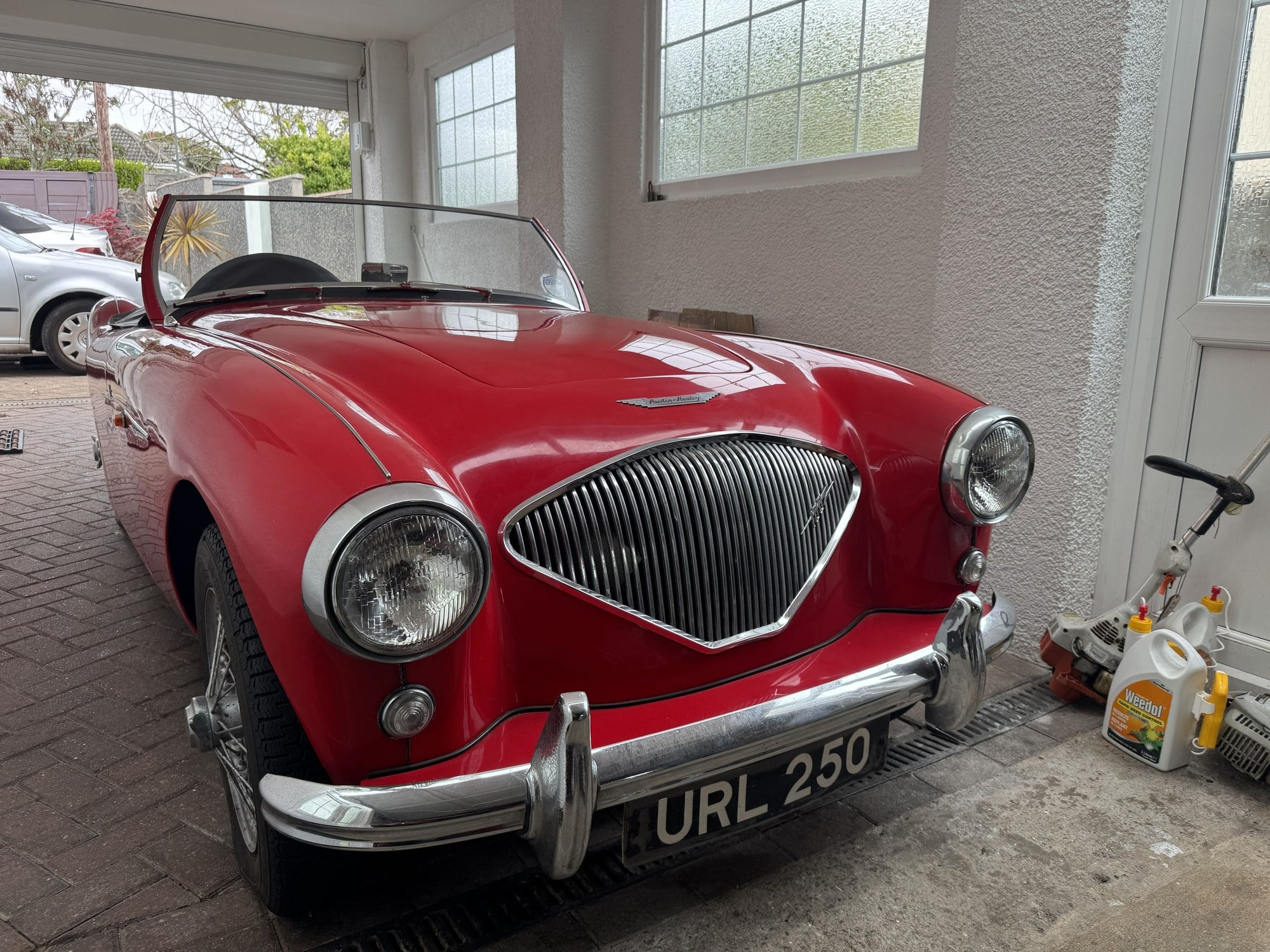 1955 Austin-Healey 100/4 BN1 - Rare Opportunity, foto 1