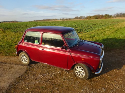 1989 Classic Mini Thirty  For Sale