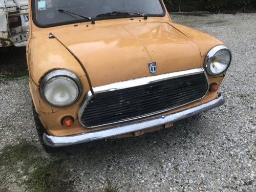 1970 90% rust free classic mini restoration project For Sale