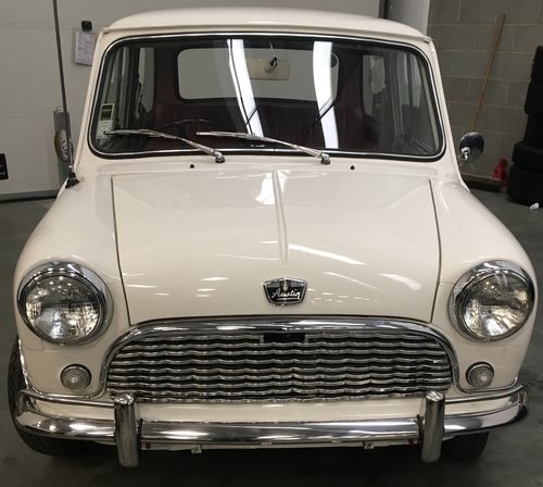 1966 Austin Mini  In vendita