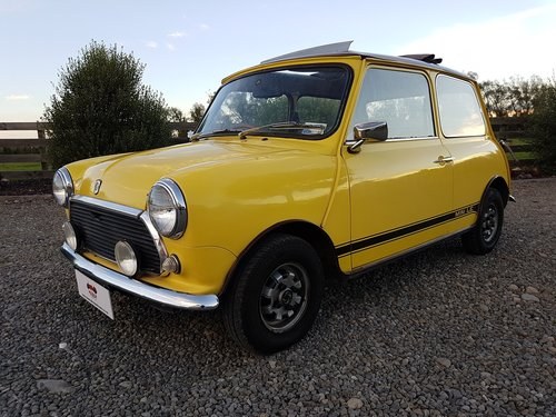 1981 MINI...Its Like Falling In Love! VERKAUFT
