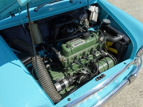 1964 Austin Mini - 8