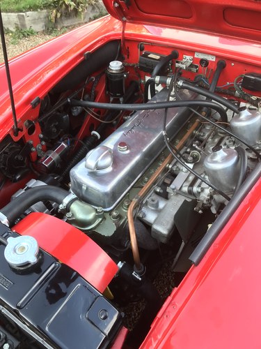 1966 Austin Healey 3000 For Sale