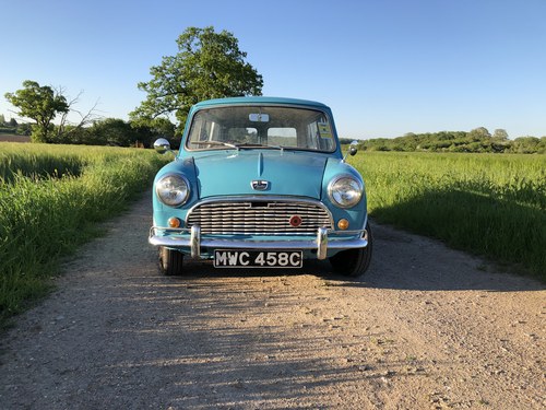 1965 Austin mini Kaufen Bei