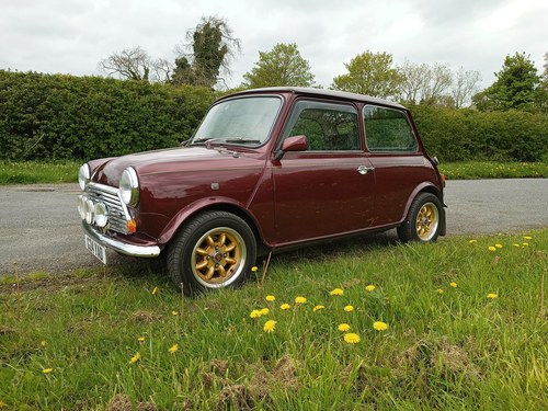 1989 Mini 30 SOLD