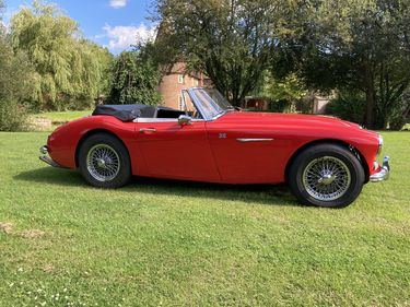 Picture of 1965 Austin Healey - For Sale