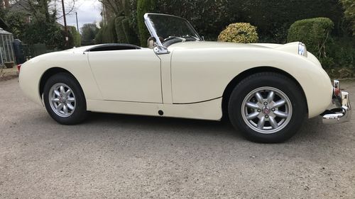 Picture of 1958 Austin Healey Sprite - For Sale