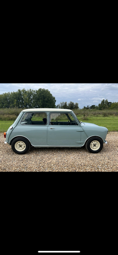 1965 Austin Mini