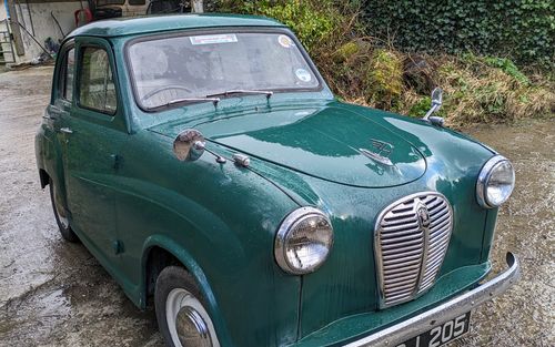 1955 Austin A30 (picture 1 of 15)