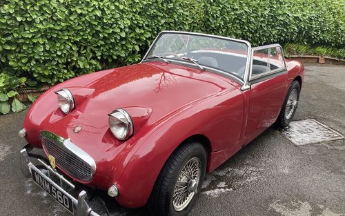 1959 Austin Healey Sprite (picture 1 of 17)