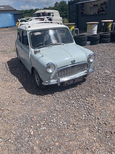 1966 Austin Mini
