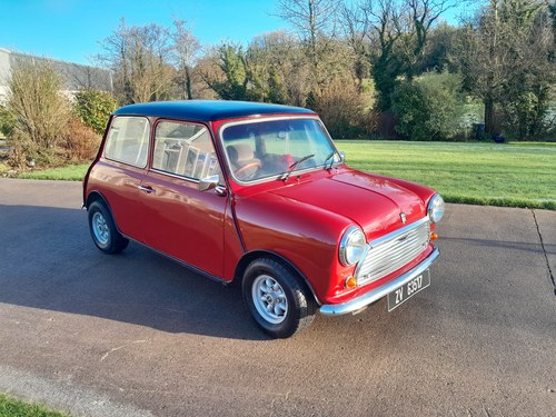 1979 Austin morris mini 1000 Mini 1000