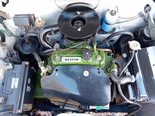 1979 Austin 1300 VERKAUFT