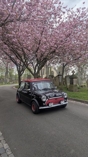 1979 Austin Mini 1000