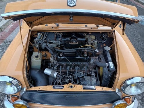 1977 AUSTIN 1100 Spéciale Kaufen Bei